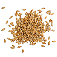 ingredients_transparent_03 https://test.digitalnimarketingslovenija.si/wp-content/uploads/2017/05/ingredients_transparent_03.png